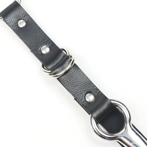EverydayUse Anal Kinky Collar 5853 with Hook Leash and 0306